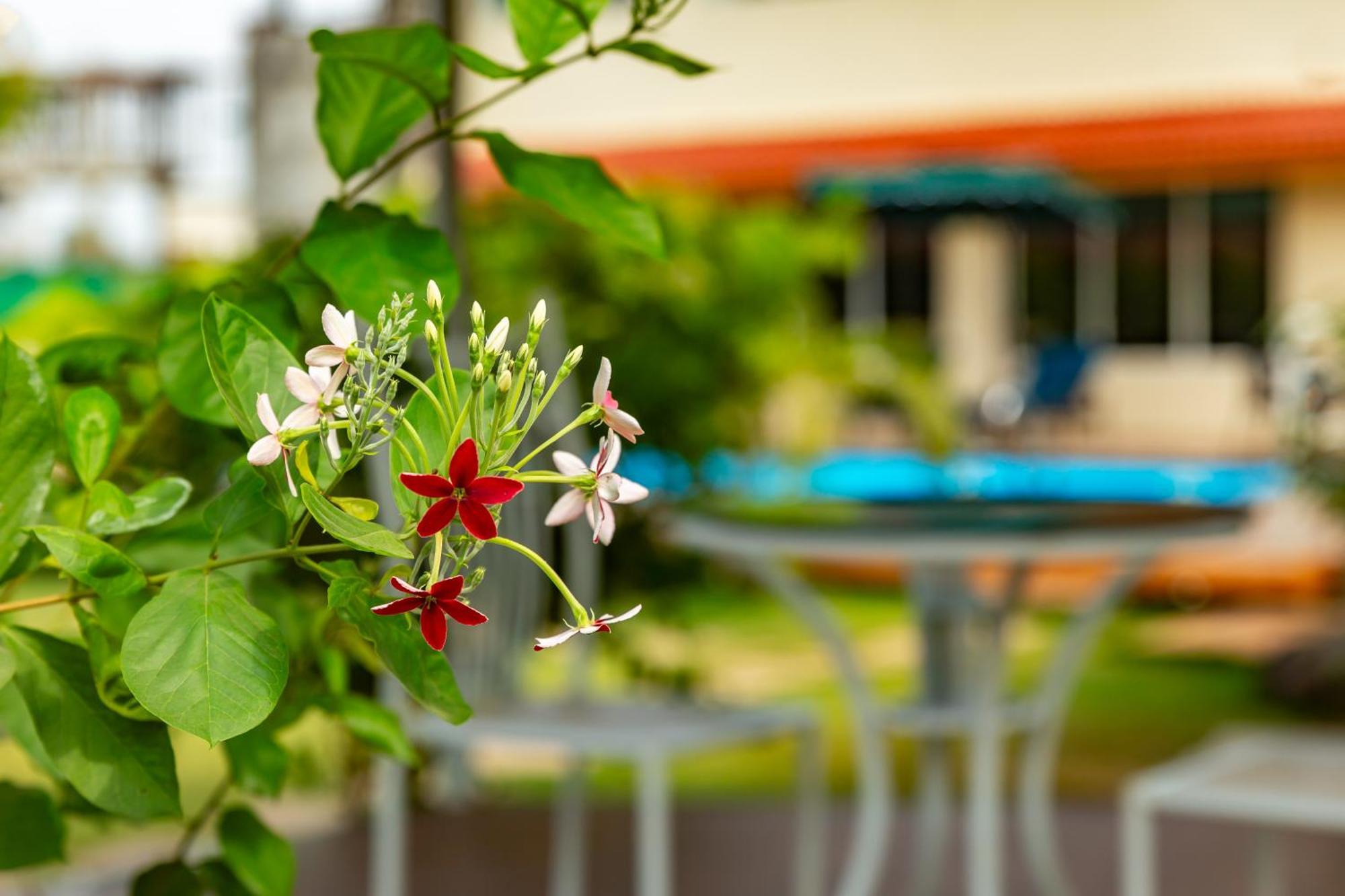 Casa Amora Lonavala Eksteriør bilde